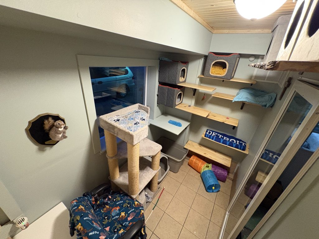 img 3807 3 2048x1536